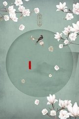 红桃视入口