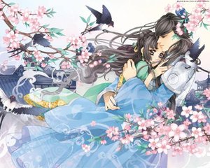 404黄台打扑克